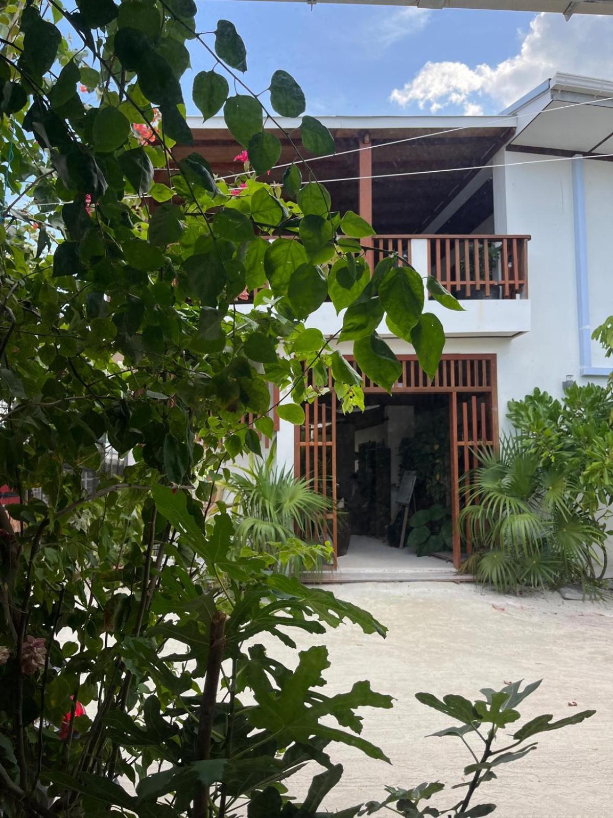 Ithaa Dhigurah Maldives ディグラ エクステリア 写真