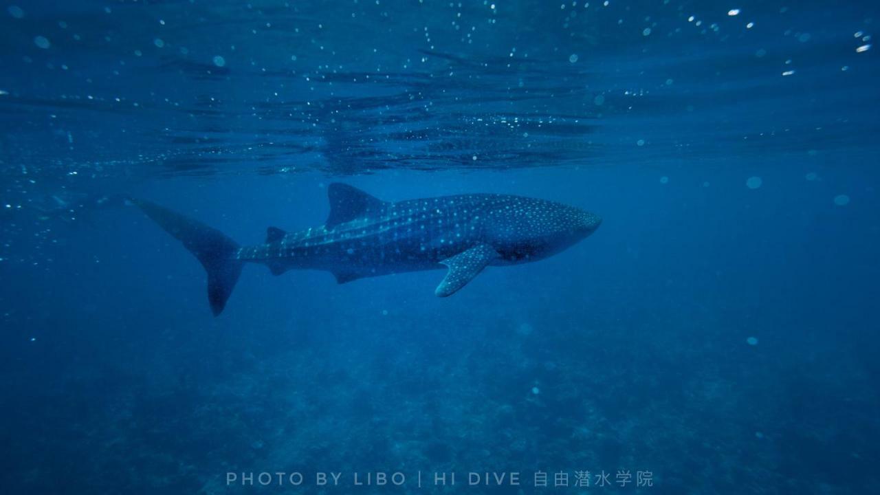 Ithaa Dhigurah Maldives ディグラ エクステリア 写真