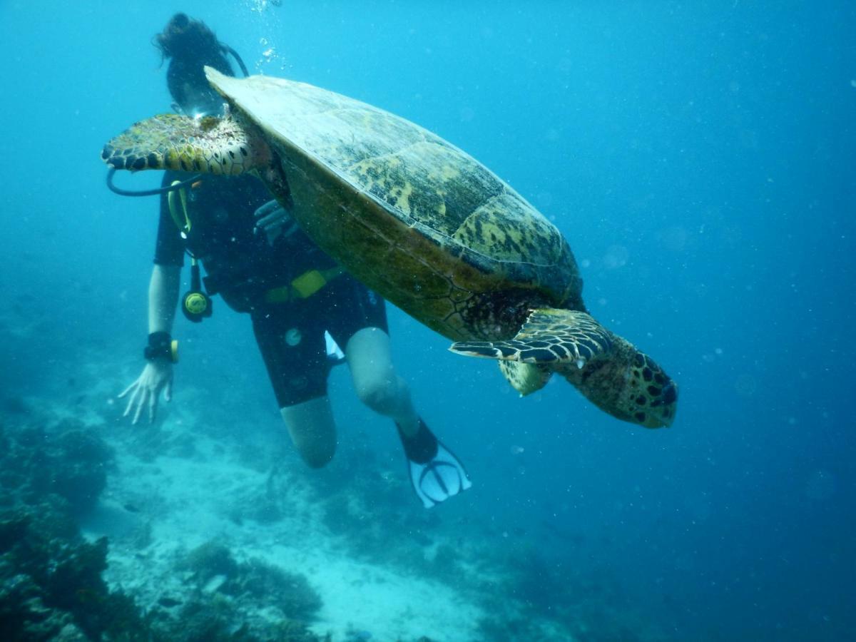 Ithaa Dhigurah Maldives ディグラ エクステリア 写真