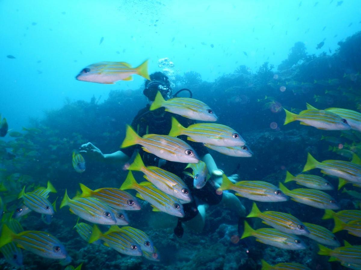 Ithaa Dhigurah Maldives ディグラ エクステリア 写真